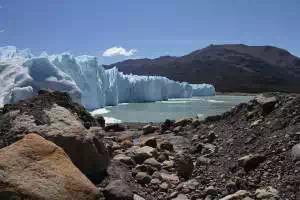 Calafate