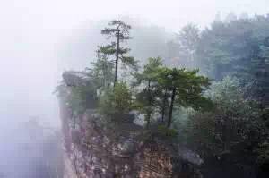 Peisaje de vis in Poiana Brasov, dupa ninsoarea de azi-noapte. Zapada s-a depus deja FOTO