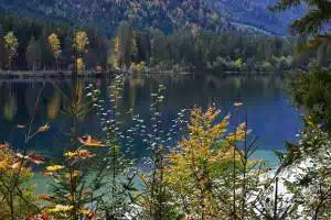 Hintersee