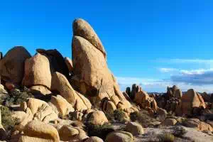 Joshua Tree National Park