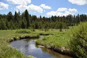 Yellowstone