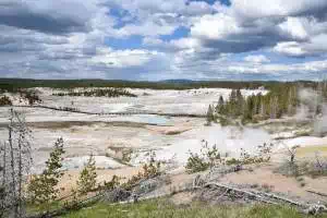 Yellowstone